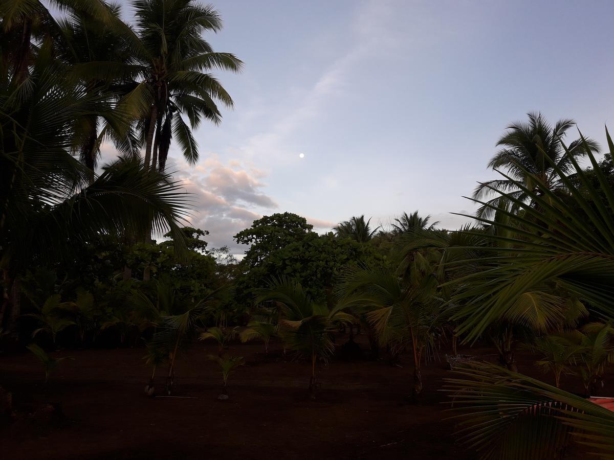 Hostal Pachamama Isla de Canas ภายนอก รูปภาพ