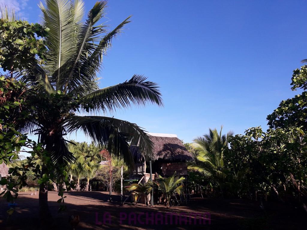 Hostal Pachamama Isla de Canas ภายนอก รูปภาพ