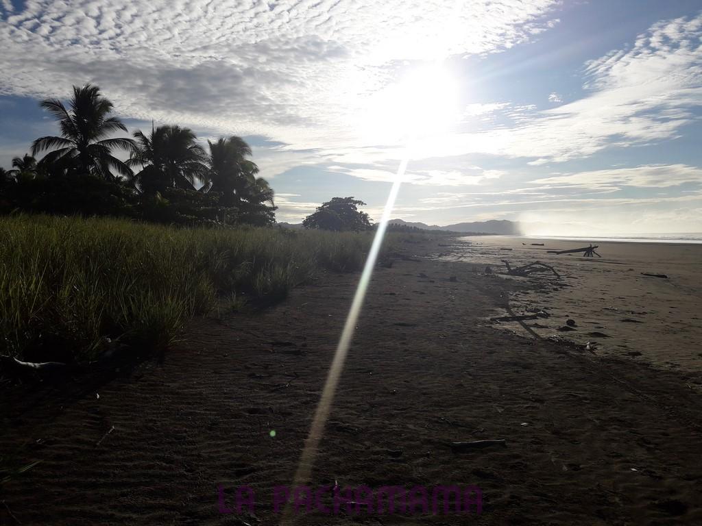 Hostal Pachamama Isla de Canas ภายนอก รูปภาพ