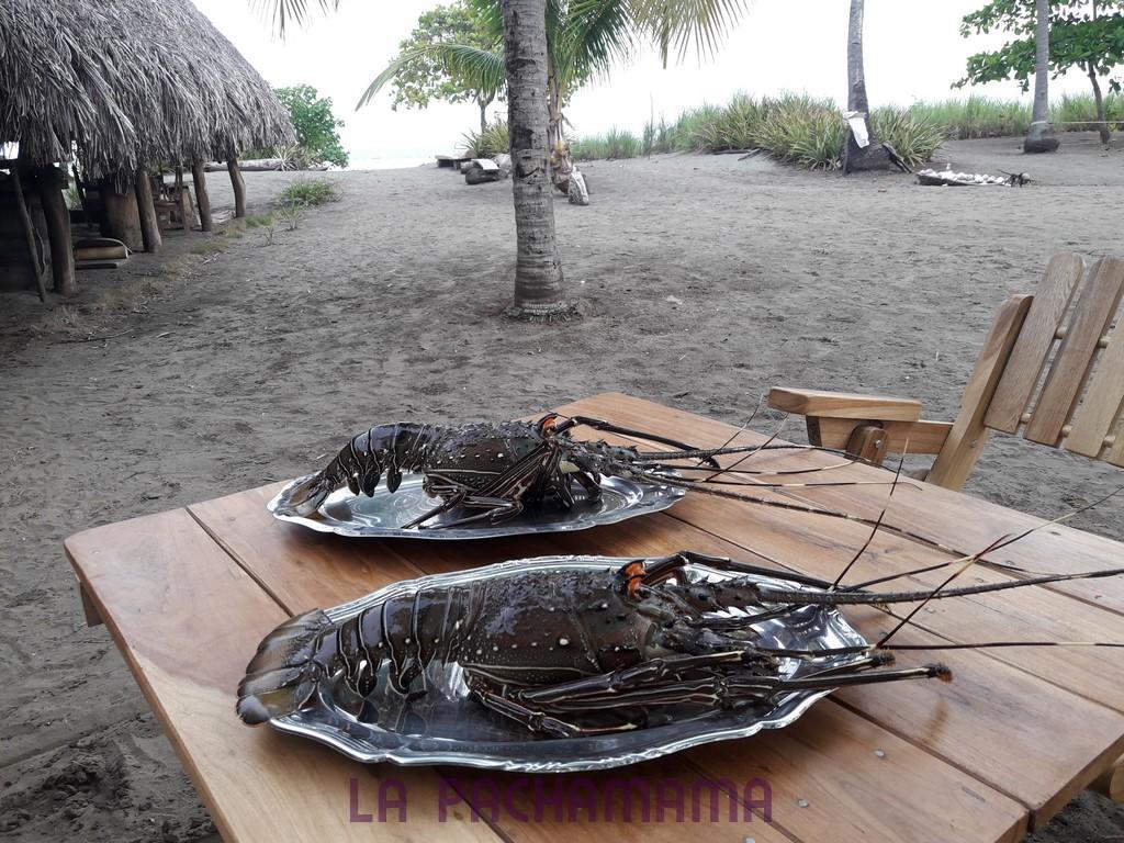 Hostal Pachamama Isla de Canas ภายนอก รูปภาพ