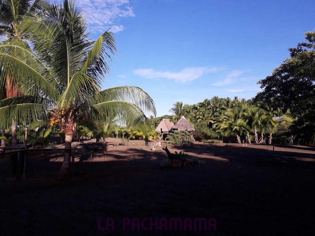 Hostal Pachamama Isla de Canas ภายนอก รูปภาพ