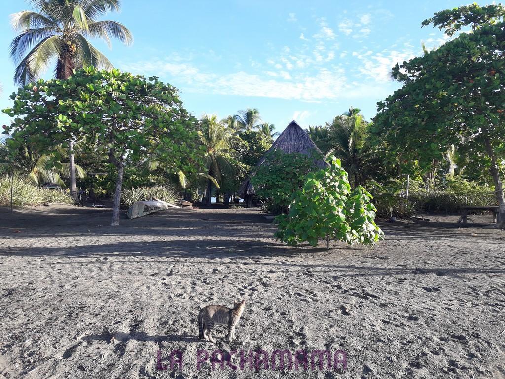 Hostal Pachamama Isla de Canas ภายนอก รูปภาพ