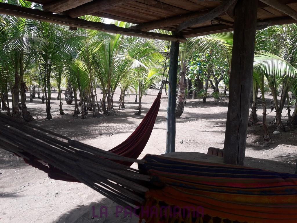Hostal Pachamama Isla de Canas ภายนอก รูปภาพ