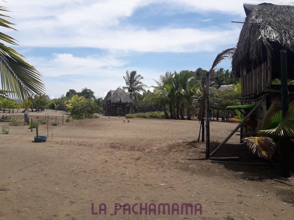 Hostal Pachamama Isla de Canas ภายนอก รูปภาพ