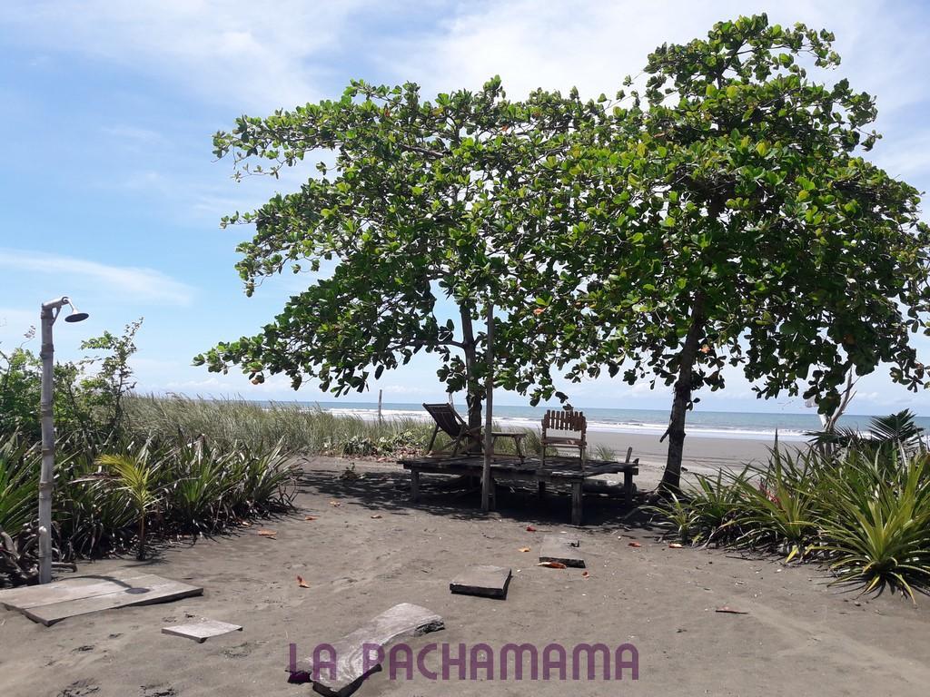 Hostal Pachamama Isla de Canas ภายนอก รูปภาพ
