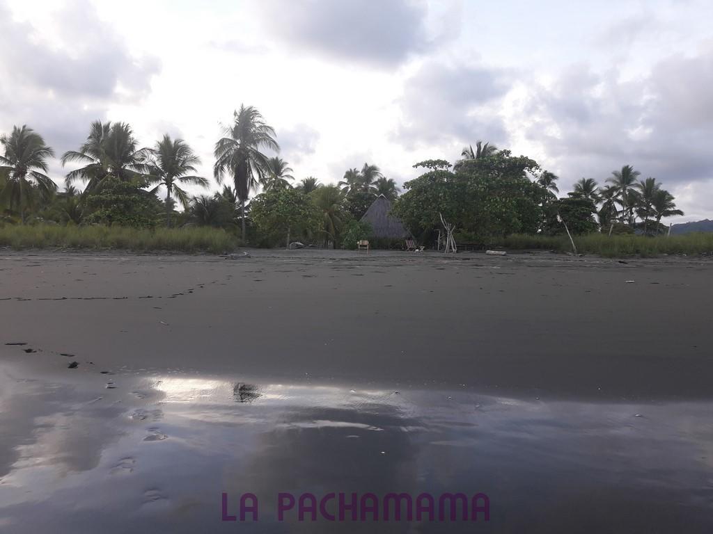 Hostal Pachamama Isla de Canas ภายนอก รูปภาพ