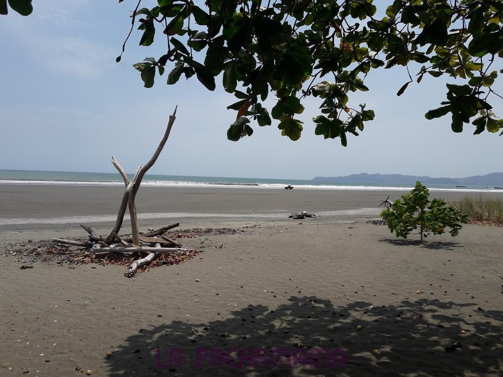 Hostal Pachamama Isla de Canas ภายนอก รูปภาพ